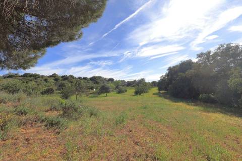 Terreno Urbanizável em Quatrim - Moncarapacho