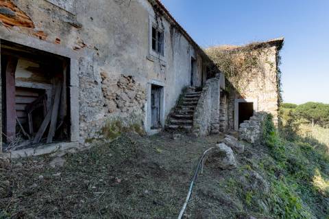 Quinta à venda na rua Candido dos Reis s/n - Vila de Colares - Mucifal