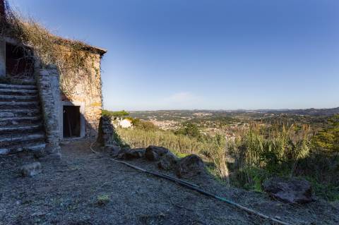 Quinta à venda na rua Candido dos Reis s/n - Vila de Colares - Mucifal