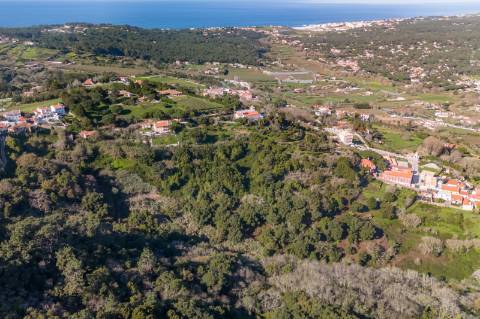 Quinta à venda na rua Candido dos Reis s/n - Vila de Colares - Mucifal