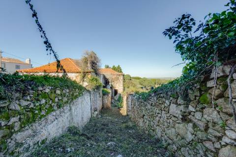 Quinta à venda na rua Candido dos Reis s/n - Vila de Colares - Mucifal
