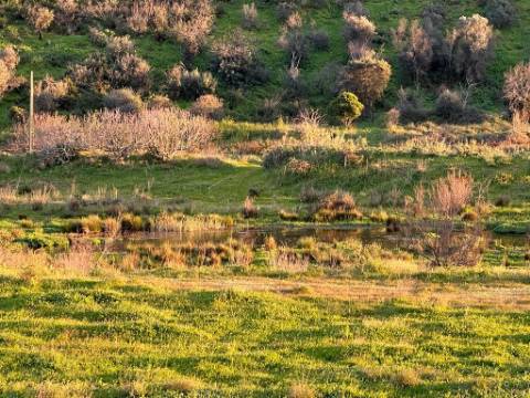 Terreno Rustico em Ribeira do Odelouca - Monchique - Algarve