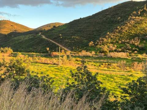 Terreno Rustico em Ribeira do Odelouca - Monchique - Algarve
