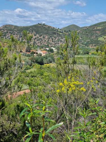 Terreno Rustico em Ribeira do Odelouca - Monchique - Algarve