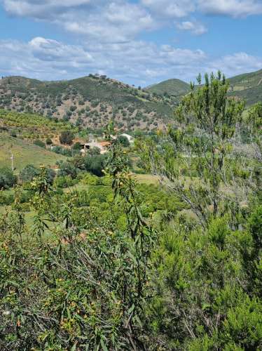 Terreno Rustico em Ribeira do Odelouca - Monchique - Algarve