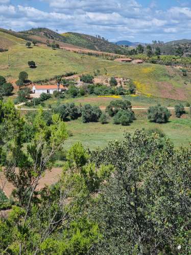 Terreno Rustico em Ribeira do Odelouca - Monchique - Algarve