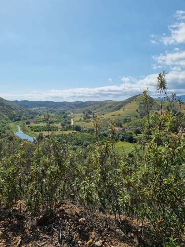 Terreno Rustico em Ribeira do Odelouca - Monchique - Algarve