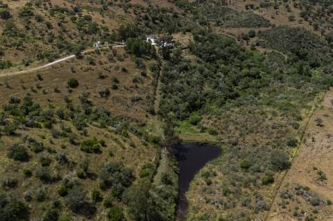 Venda de Quinta no Alentejo com Casa Tradicional, Piscina e 6 Hectares de Terreno - Vila Verde de Ficalho, Alentejo