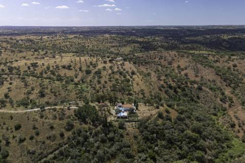 Venda de Quinta no Alentejo com Casa Tradicional, Piscina e 6 Hectares de Terreno - Vila Verde de Ficalho, Alentejo