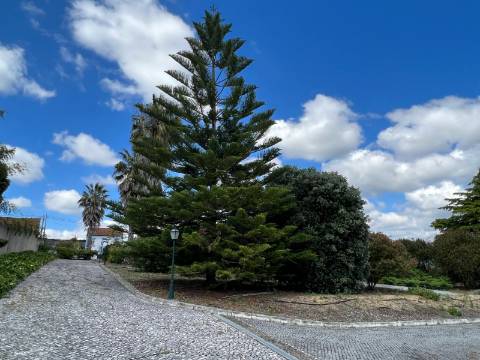 Moradia de Prestígio em Sepins, Cantanhede Um Refúgio de Elegância Clássica e Luxo Contemporâneo