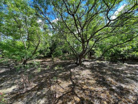 Moradia de Prestígio em Sepins, Cantanhede Um Refúgio de Elegância Clássica e Luxo Contemporâneo