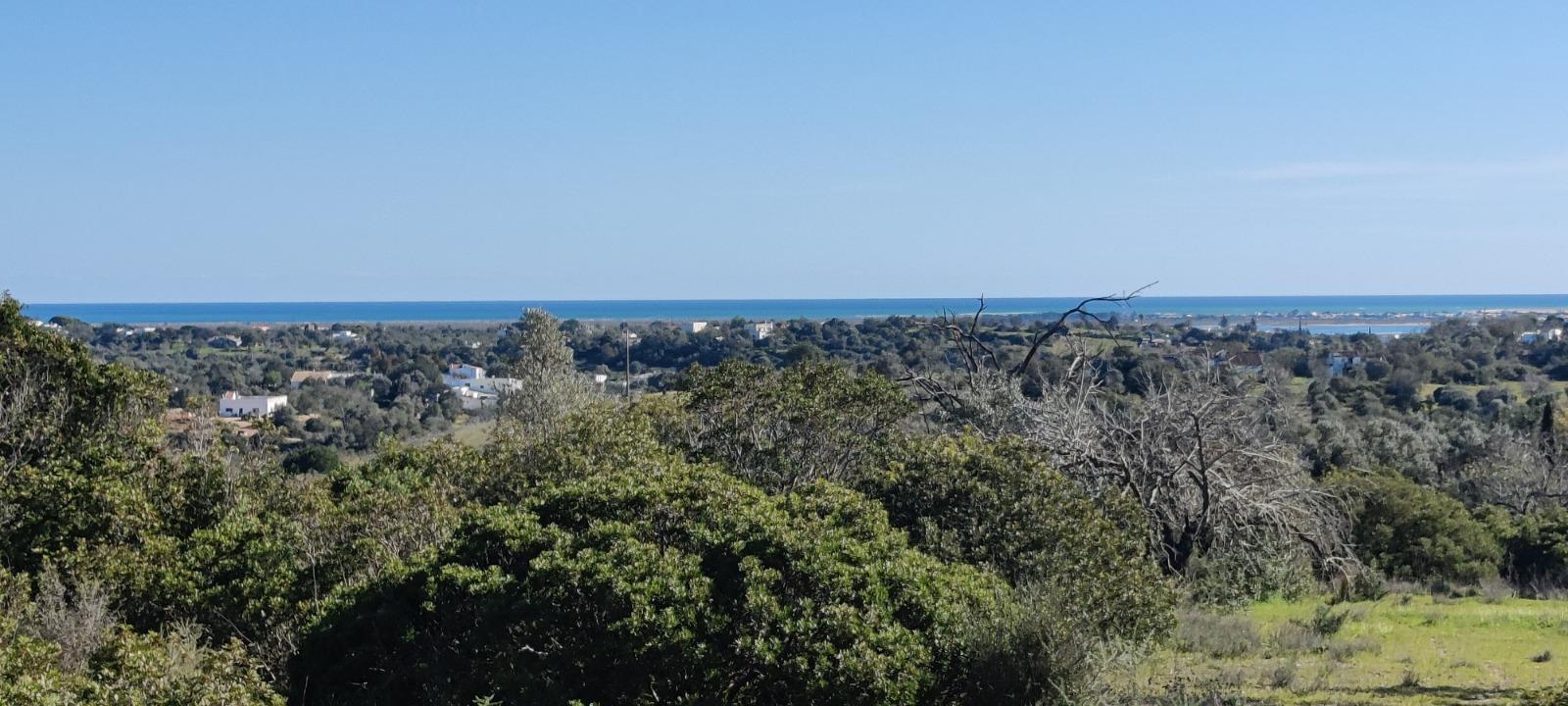 Quinta com Vista Mar e Ria Formosa - Quelfes, Algarve