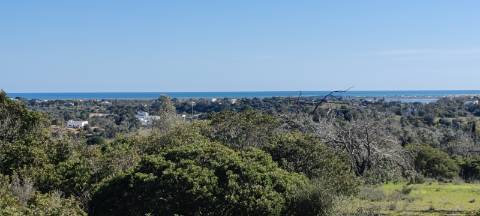 Quinta com Vista Mar e Ria Formosa - Quelfes, Algarve