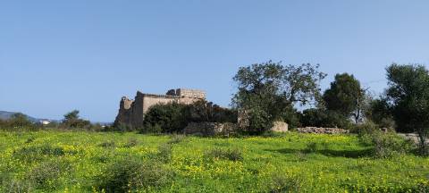 Quinta com Vista Mar e Ria Formosa - Quelfes, Algarve