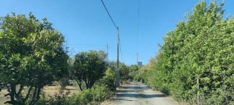 Quinta com Vista Mar e Ria Formosa - Quelfes, Algarve