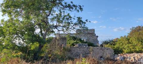 Quinta com Vista Mar e Ria Formosa - Quelfes, Algarve