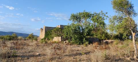 Quinta com Vista Mar e Ria Formosa - Quelfes, Algarve