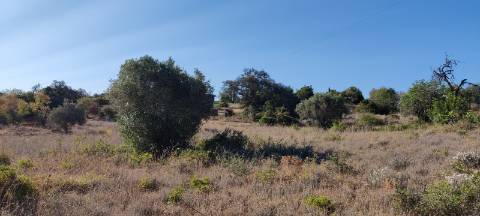 Quinta com Vista Mar e Ria Formosa - Quelfes, Algarve