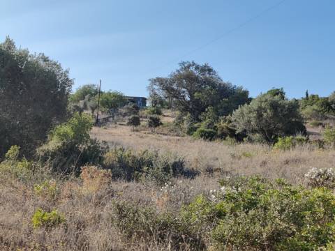 Quinta com Vista Mar e Ria Formosa - Quelfes, Algarve