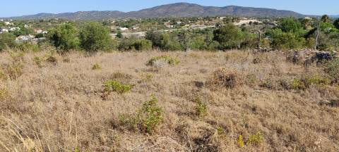 Quinta com Vista Mar e Ria Formosa - Quelfes, Algarve