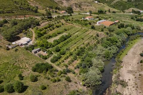 Quinta em Charcoes - Alferce - Monchique