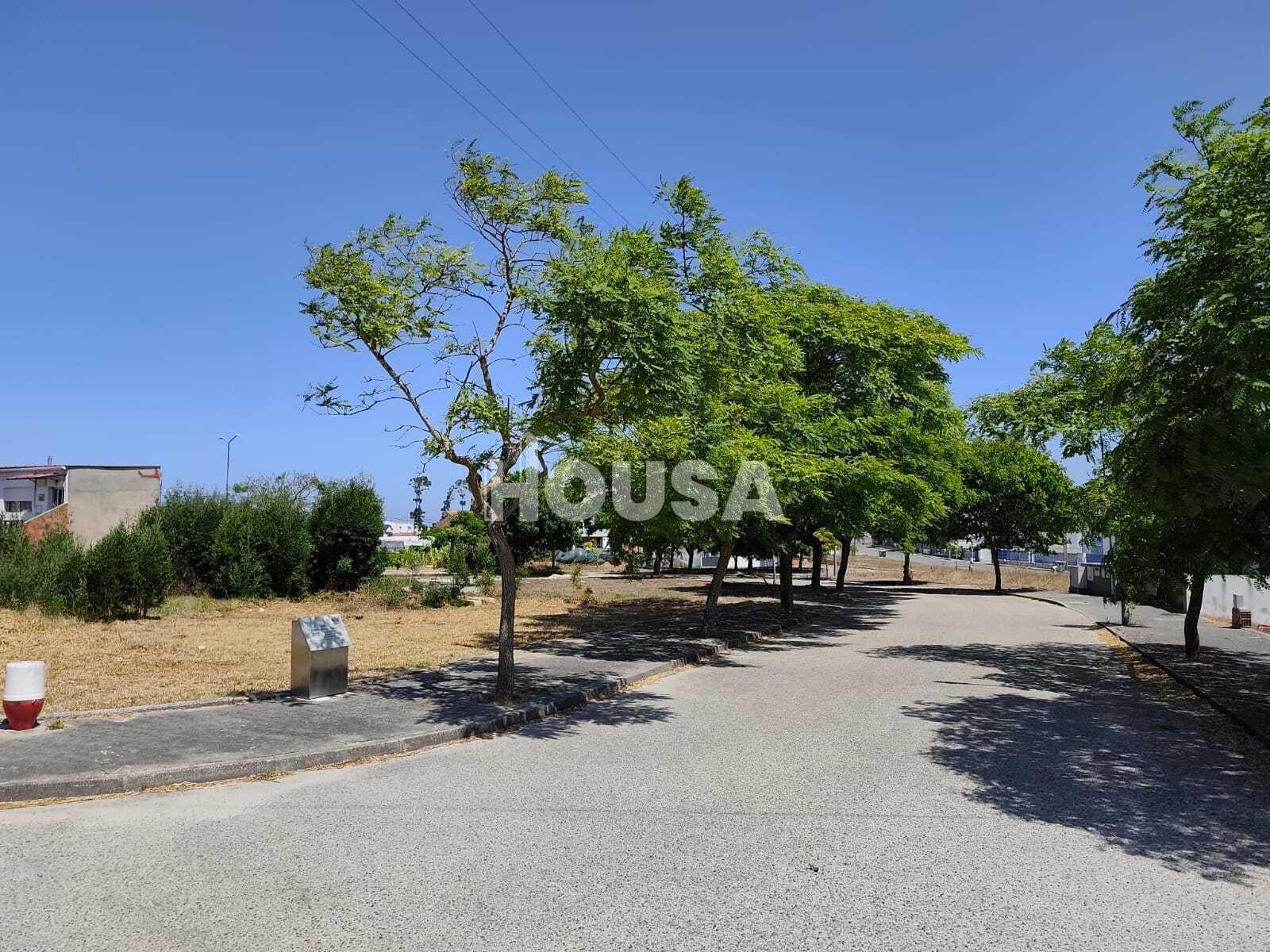 Lote de terreno - Vieira de Leiria, Marinha Grande.