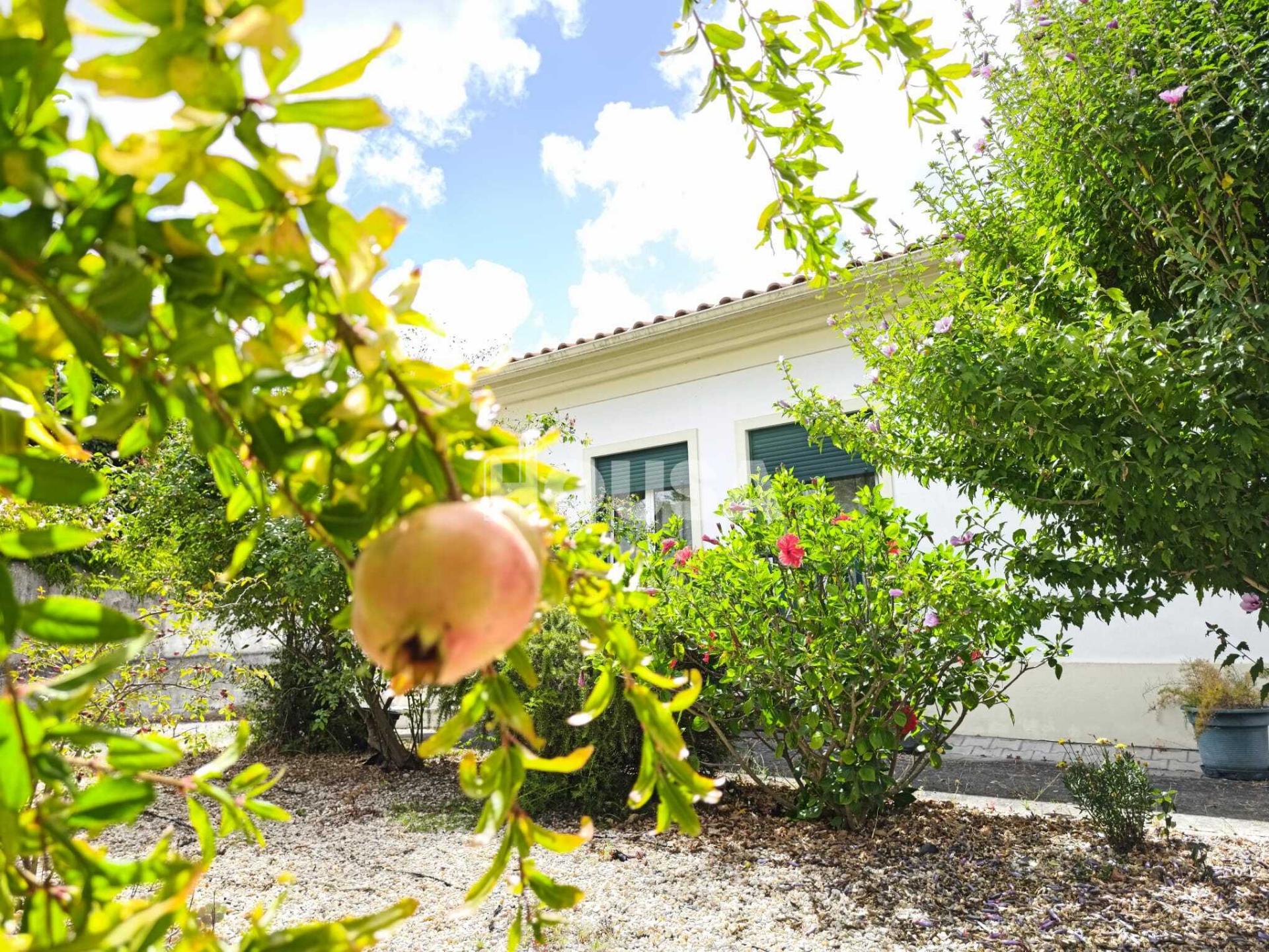 Moradia Térrea T3 + 1 com 3 anexos + terreno - Marinha Grande