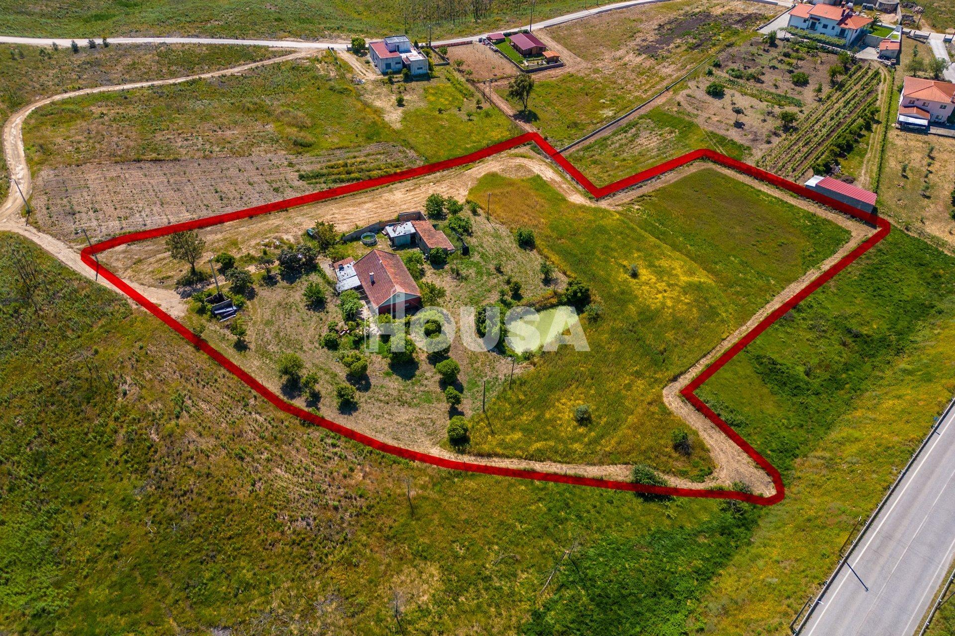 Moradia T3 com 1 hectare de terreno em Proença a Nova