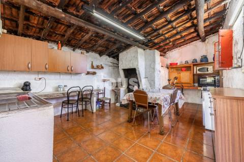 Moradia T3 com 1 hectare de terreno em Proença a Nova