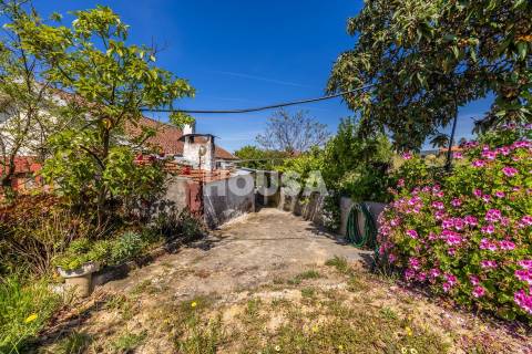 Moradia T3 com 1 hectare de terreno em Proença a Nova