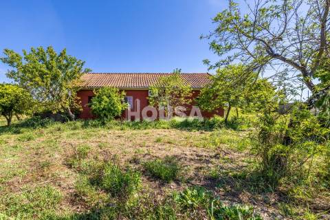 Moradia T3 com 1 hectare de terreno em Proença a Nova