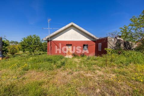 Moradia T3 com 1 hectare de terreno em Proença a Nova