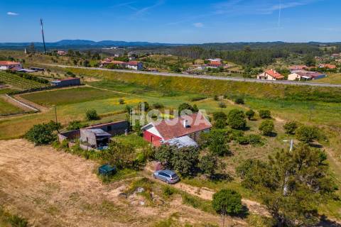 Moradia T3 com 1 hectare de terreno em Proença a Nova