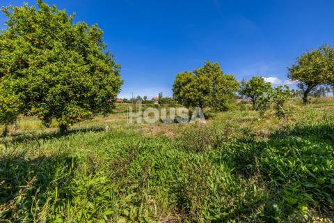 Moradia T3 com 1 hectare de terreno em Proença a Nova