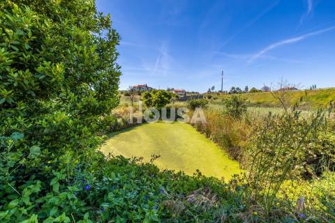 Moradia T3 com 1 hectare de terreno em Proença a Nova