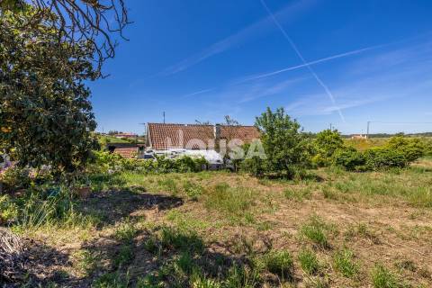 Moradia T3 com 1 hectare de terreno em Proença a Nova
