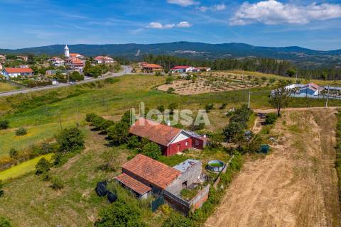 Moradia T3 com 1 hectare de terreno em Proença a Nova