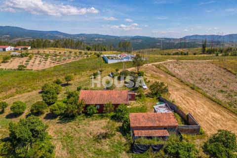 Moradia T3 com 1 hectare de terreno em Proença a Nova