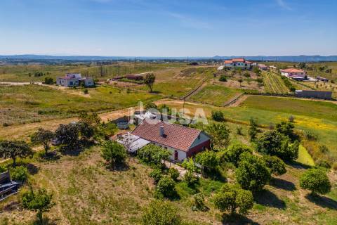 Moradia T3 com 1 hectare de terreno em Proença a Nova