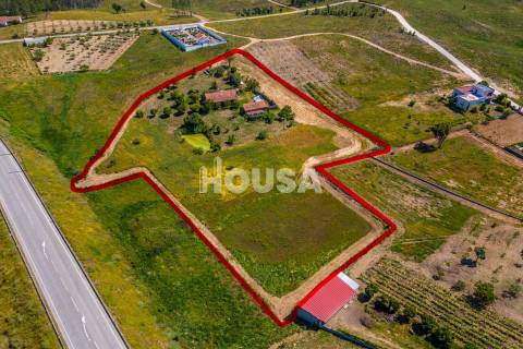 Moradia T3 com 1 hectare de terreno em Proença a Nova