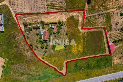 Moradia T3 com 1 hectare de terreno em Proença a Nova