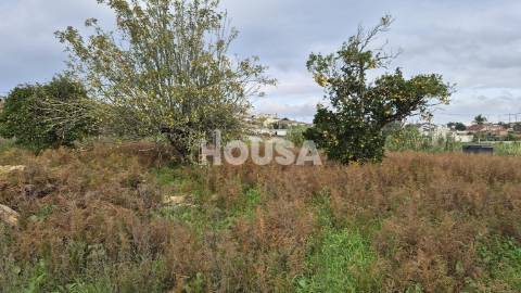 Terreno Urbano com 613m² | Possibilidade de Construção de 2 Moradias | Bidoeira – Leiria