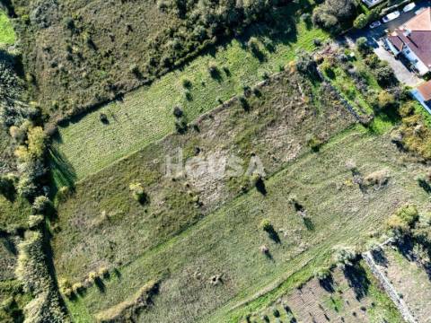 Terreno Rústico com 7.670m² nos Golfeiros – Batalha