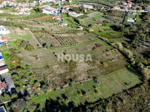 Terreno Rústico com 7.670m² nos Golfeiros – Batalha