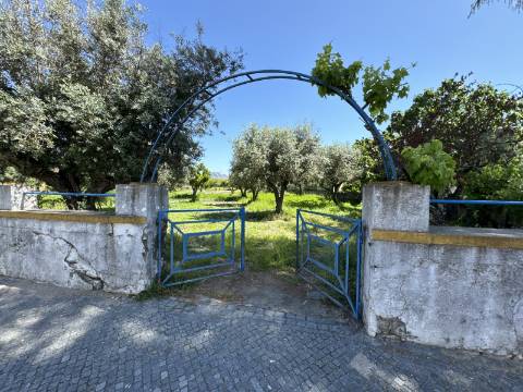 Excelente oportunidade para adquirir um Terreno no centro da Vila