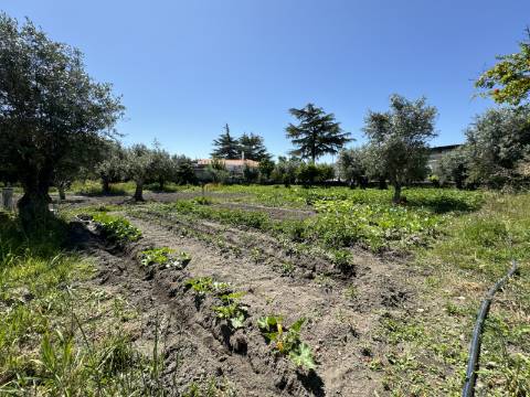 Excelente oportunidade para adquirir um Terreno no centro da Vila