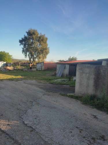 Terreno rústico de cultura arvense com dependencia agrícola.