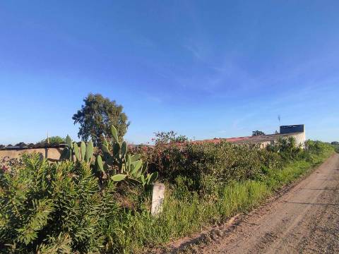 Terreno rústico de cultura arvense com dependencia agrícola.