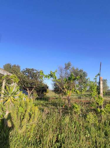 Terreno rústico de cultura arvense com dependencia agrícola.