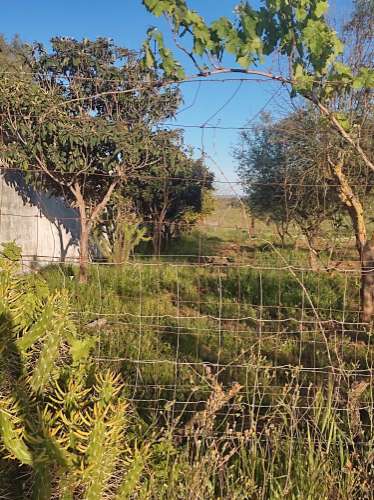 Terreno rústico de cultura arvense com dependencia agrícola.